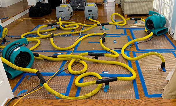 Professional Structural Drying And Dehumidification technician working in Woodstock, GA